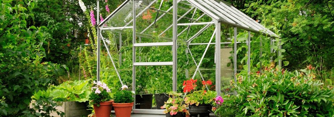 [paste advice page name here]